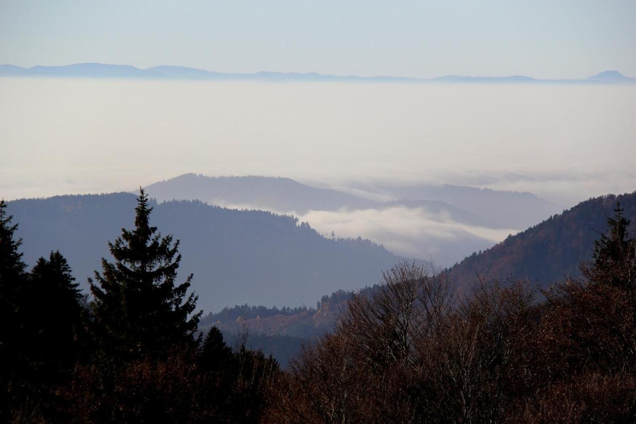 Landhotel Garni Schweizerhaus Schönwalde エクステリア 写真