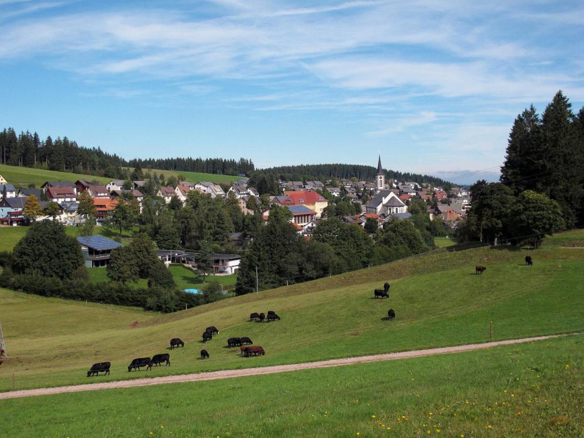 Landhotel Garni Schweizerhaus Schönwalde エクステリア 写真