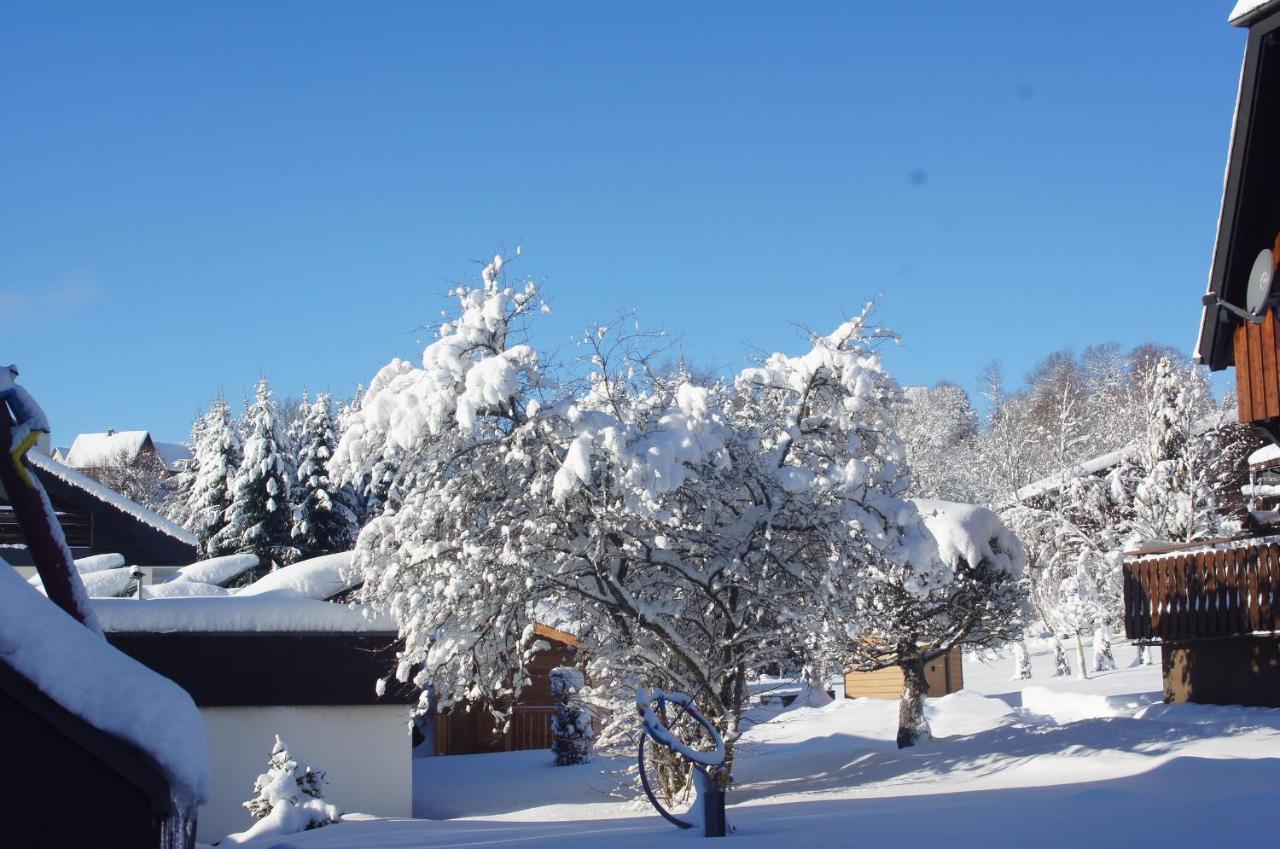 Landhotel Garni Schweizerhaus Schönwalde エクステリア 写真